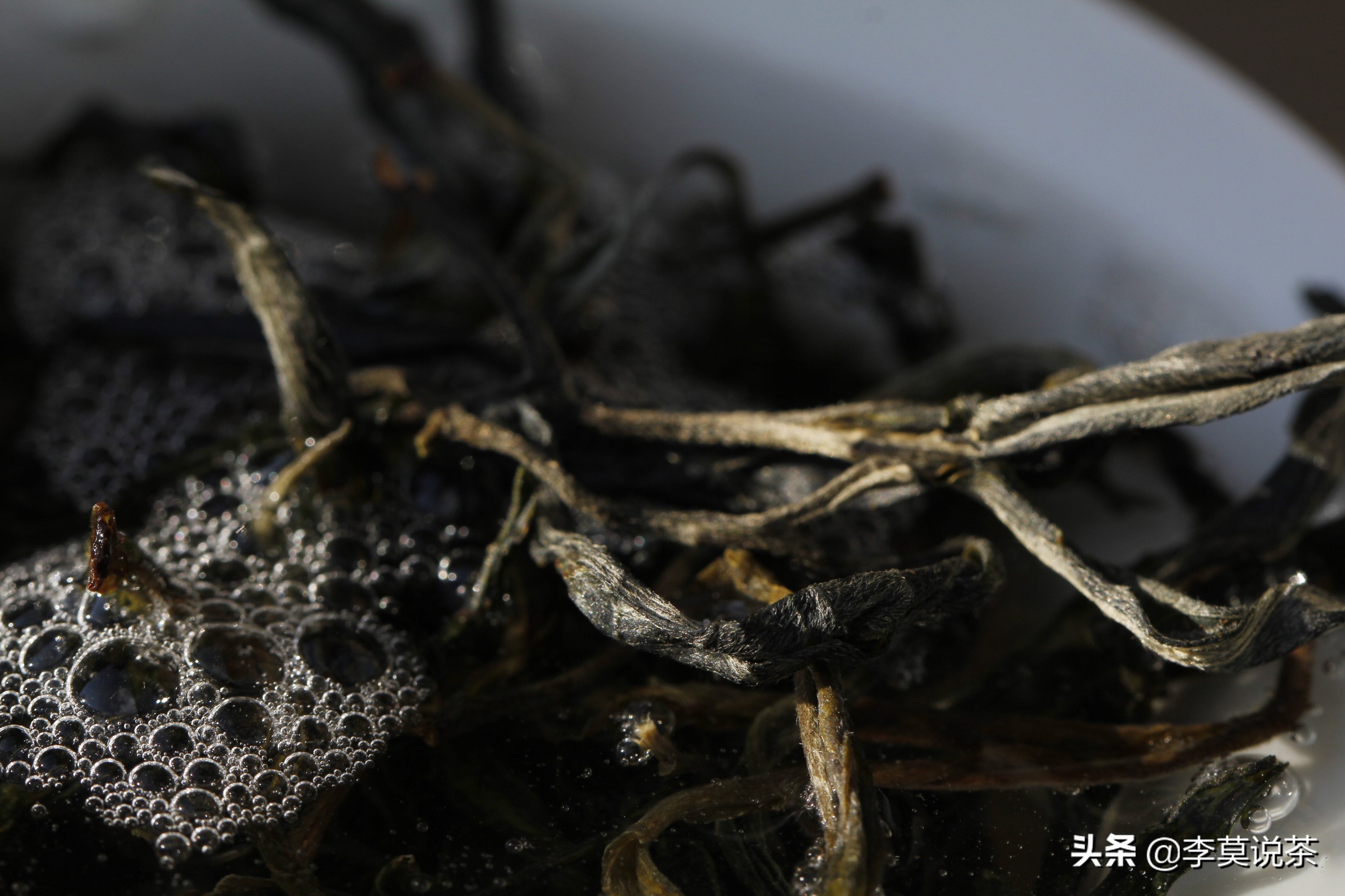 卖茶的懂茶又懂文化,卖茶的一定要懂茶