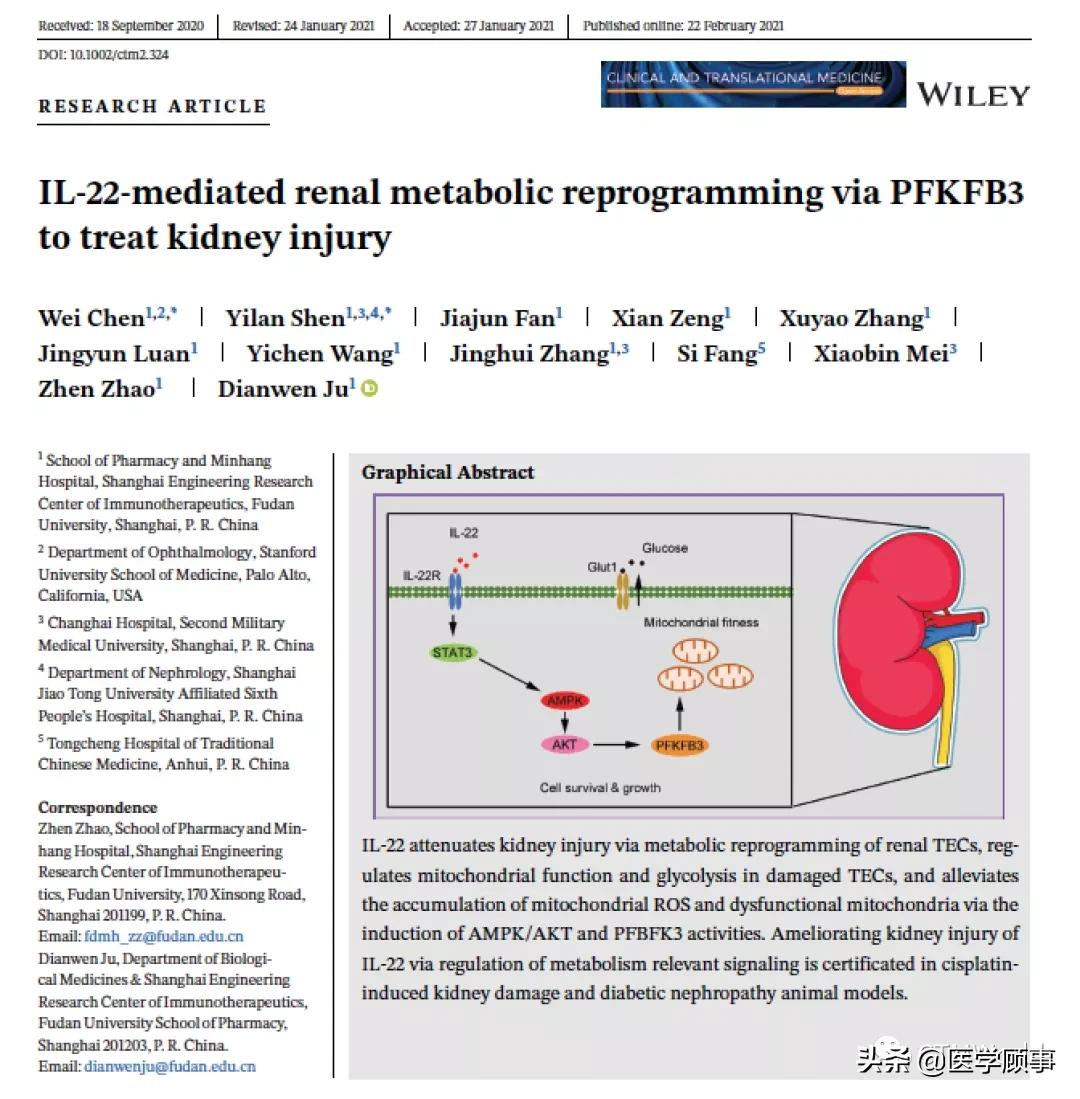 il-22属于什么类型的抗体,il-22因子叫什么