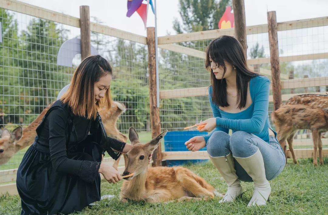 东南花都花博园景观,东南花都花博园
