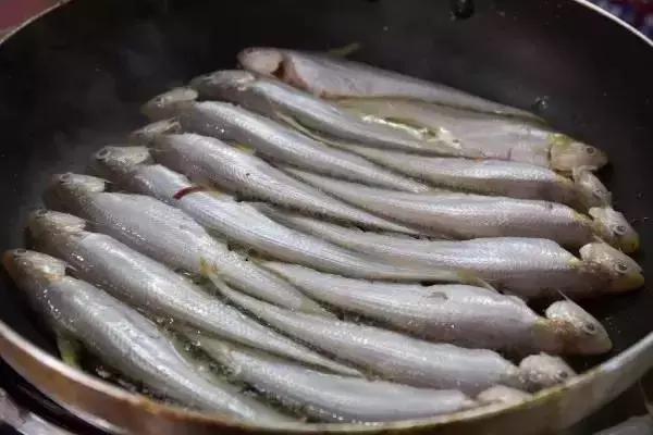 宁波一渔民整理海鲜大全,宁波最全的海鲜