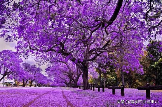 澳大利亚有哪些旅游胜地,澳大利亚有什么好玩的免费景点