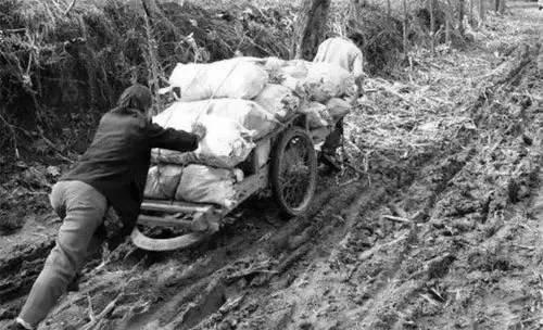 80年代场景农村交公粮,回忆从前农村交公粮