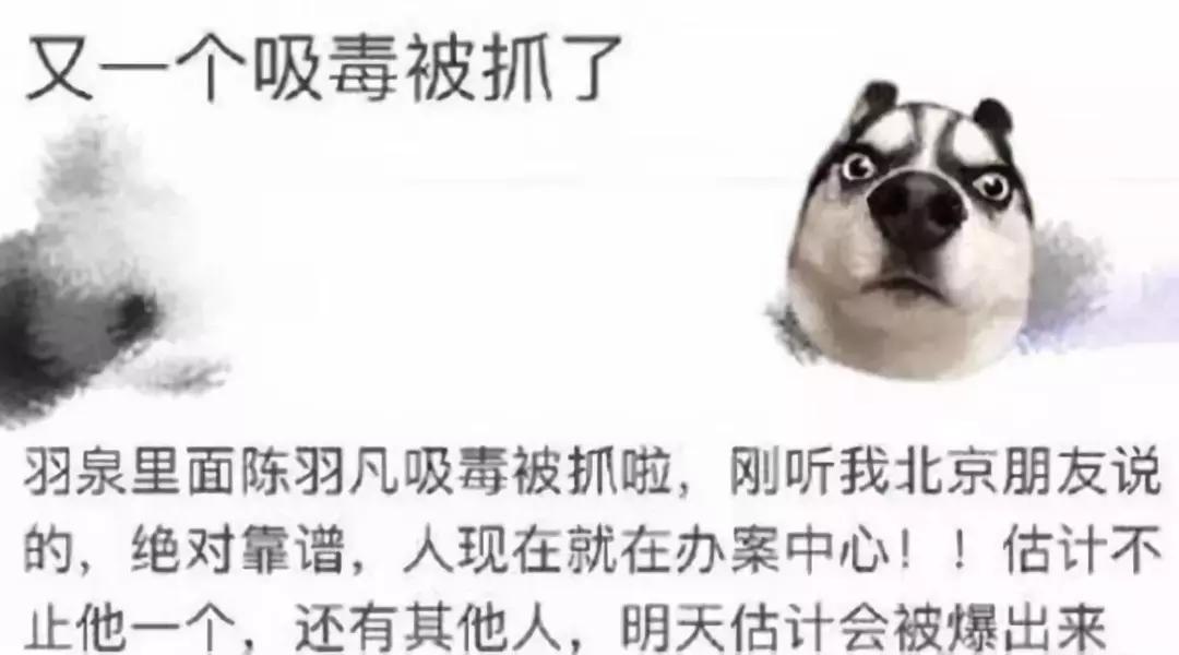 陈羽凡吸毒后的现状,陈羽凡吸毒为何复出了