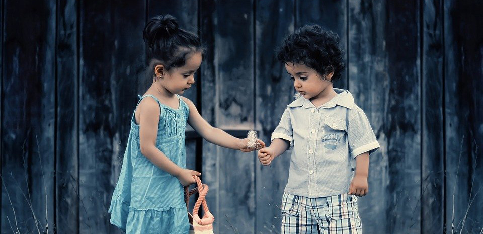 女性大脑逻辑区比男性更大,男性女性大脑差异