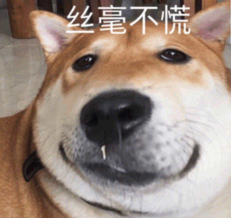 两个月狗狗眼屎多用什么药,狗狗眼屎多什么原因导致的