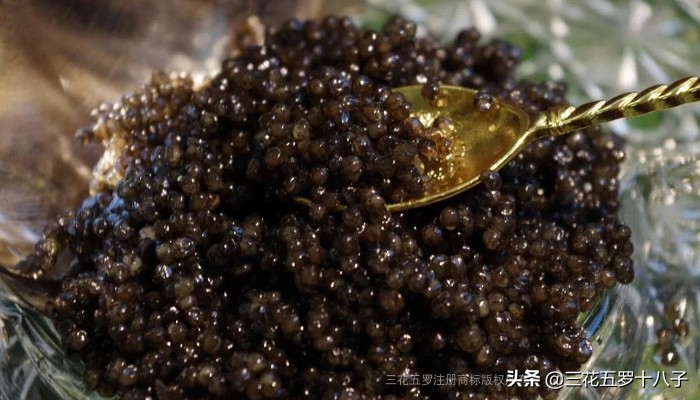 鱼子酱是三大奢侈品美食吗,世界三大美食鱼子酱