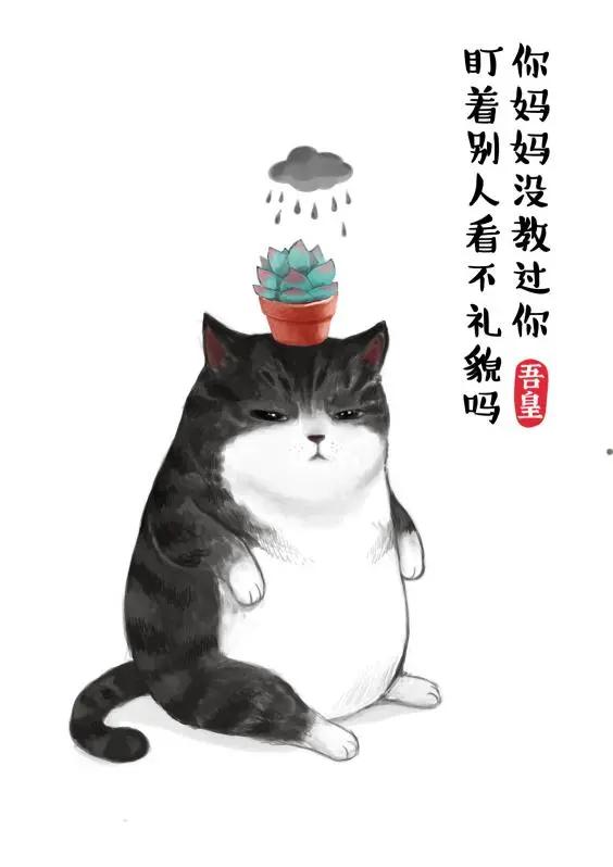 治愈3000万人的不开心，圈粉名人大咖，他从默默无闻到火遍全网