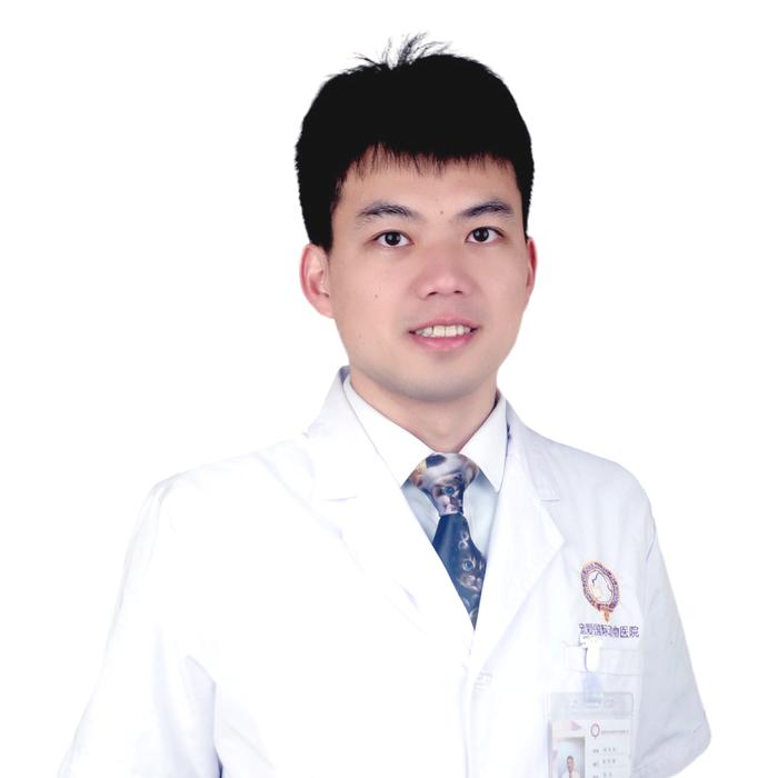 瀹犵埍鍥介檯鍔ㄧ墿鍖婚櫌闄㈣,瀹犵埍鍥介檯鍔ㄧ墿鍖婚櫌浣撳唴椹辫櫕