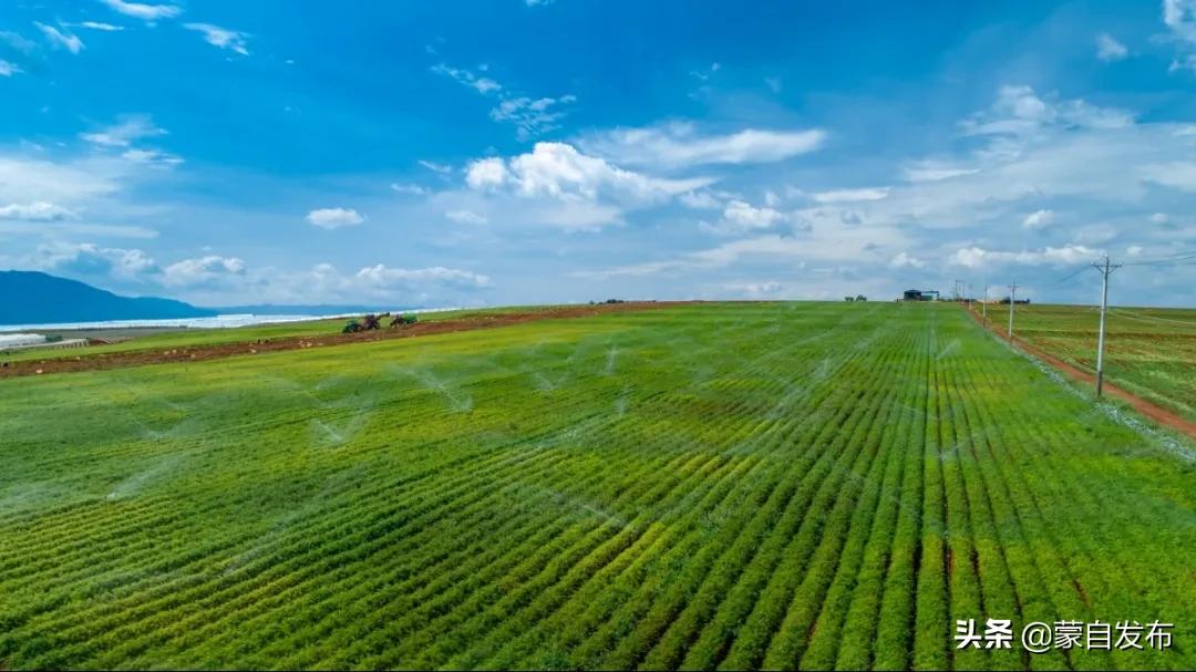 蒙自的现状,蒙自的发展