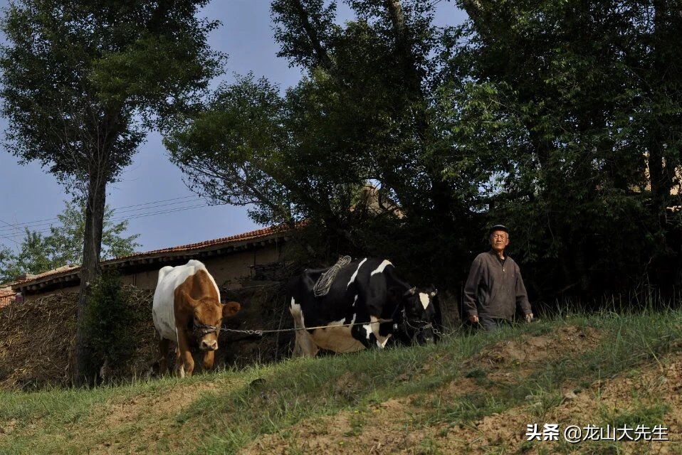 大同方言集合,大同话方言阅读