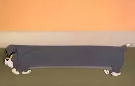 众所周知的猫咪,猫咪是液体也是固体