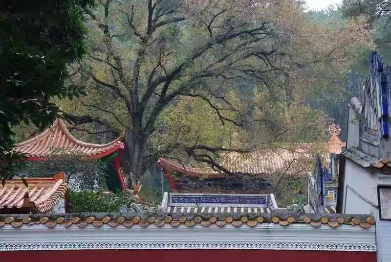 桂宿通,桂宿通银卡最新房源汇总