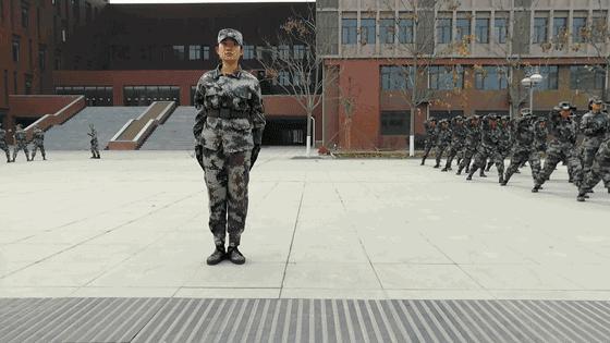 武警军体拳分解动作,军体拳动作口号