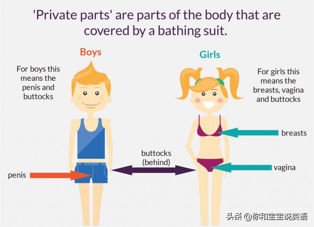 用英文教宝宝保护隐私部位,防范记住两个不,危险时刻三步走