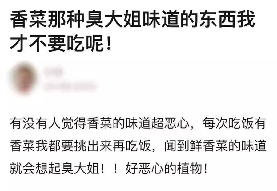 真的不要香菜吗,为什么不要香菜