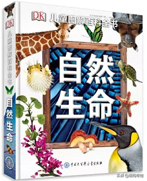 dk科普书怎么样,dk值得入手的书籍