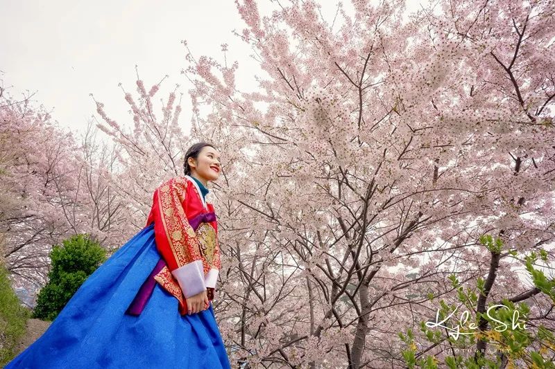 樱花季去京都怎么避免人太多,樱花季去日本旅行