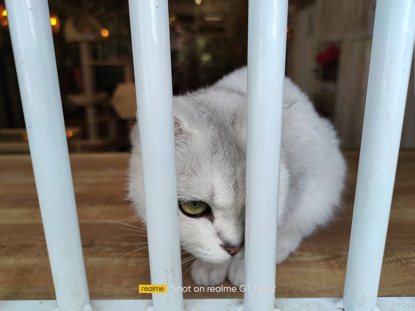 realme870鎵嬫満,realme870