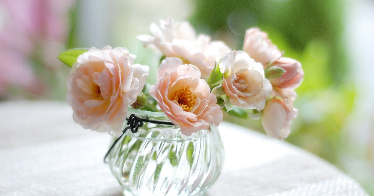 客厅有花香,客厅里有花