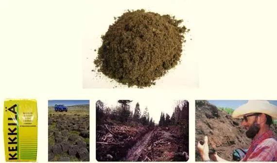 教你打造一米菜园,自家菜园教程新手入门