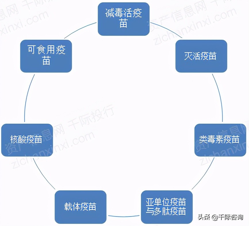 免费疫苗接种政策,免费接种疫苗有哪些