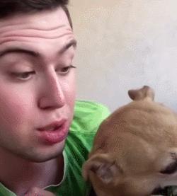 人狗大战电影免费观看,第一次人机大战视频