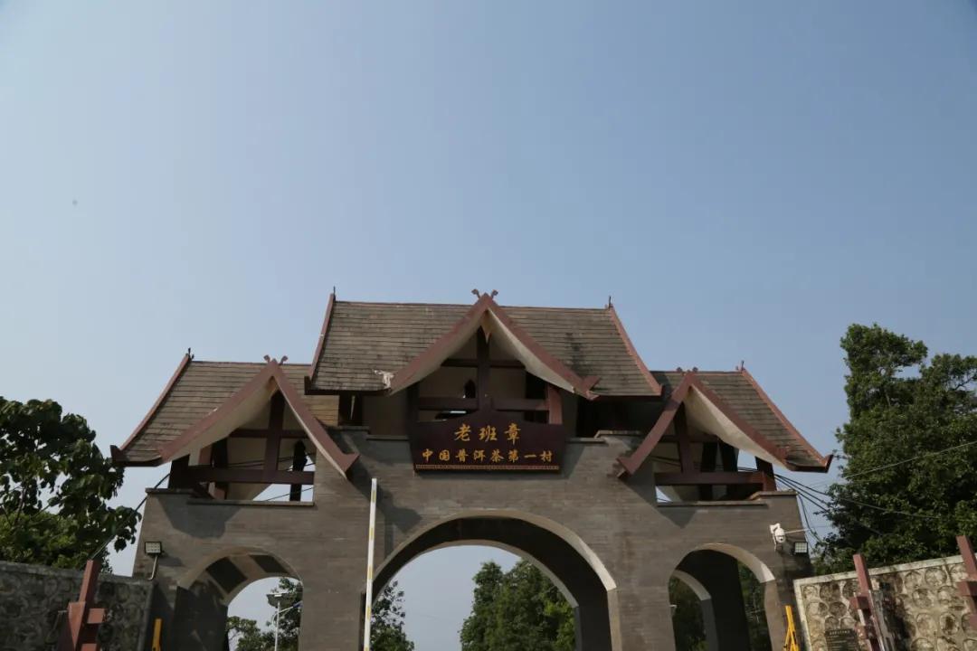 「茗边聚焦七彩云南·庆沣祥系列报道之③」浅谈百山百味