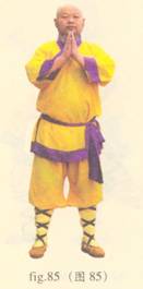 少林心意门拳视频教程,少林长护心意拳图解