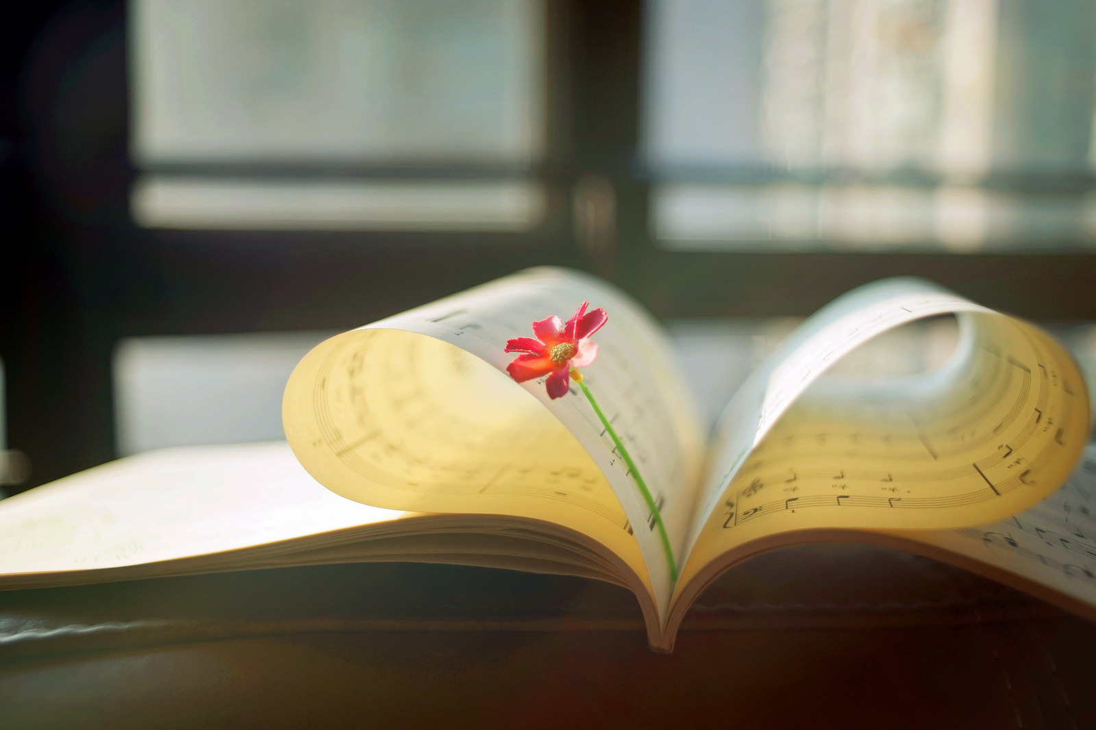 古句励志自己修身名言名句,朱熹的修身篇的名言警句