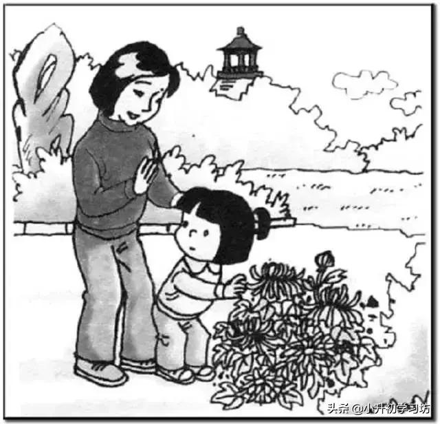 为什么孩子讨厌写看图写话,一年级看图写话会说不会写怎么办