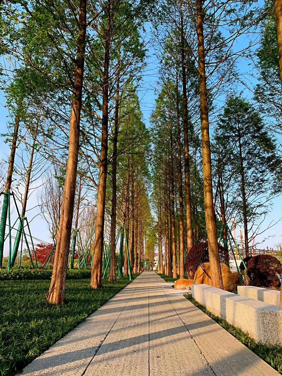 浙江爱心岛风景,杭州爱心岛游玩