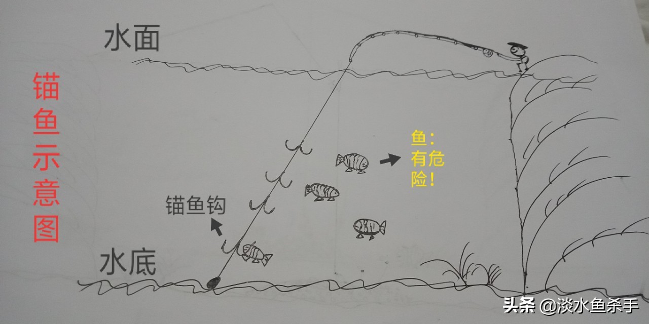 它是新时代的产物,却人人喊打,深析:“锚鱼”不为人知的秘密