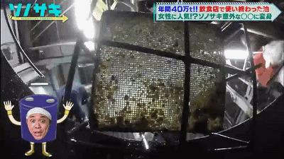 日本地沟油是从哪一年开始的,日本地沟油发源地