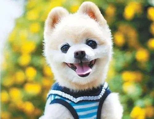 道教祭拜的基本礼仪,陈理真道长道教礼仪