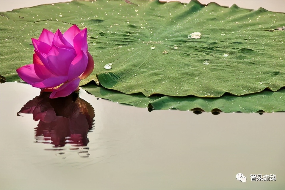 郭进拴重庆品火锅,郭进拴散文