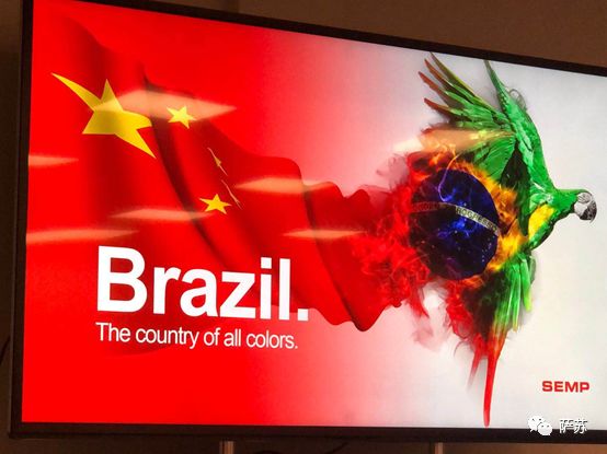 tcl是什么英文缩写,tcl缩写什么意思