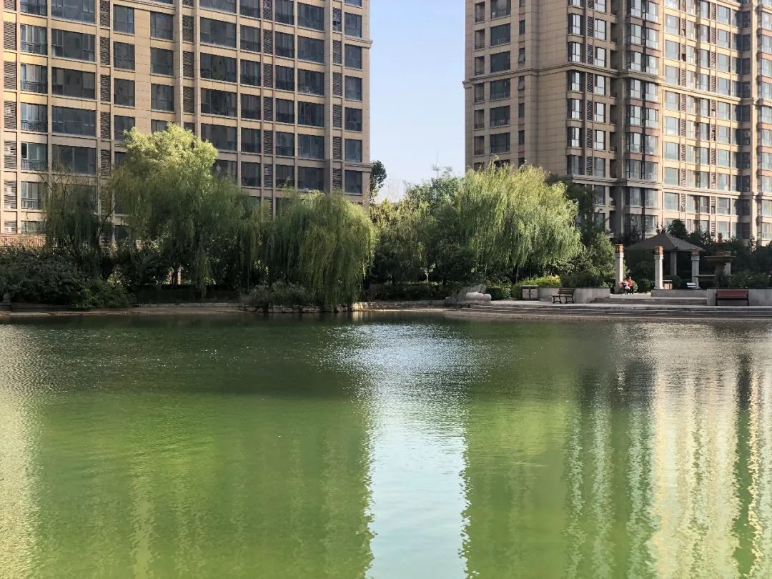 实探一线湖景房,石家庄房产探盘排行榜前十名