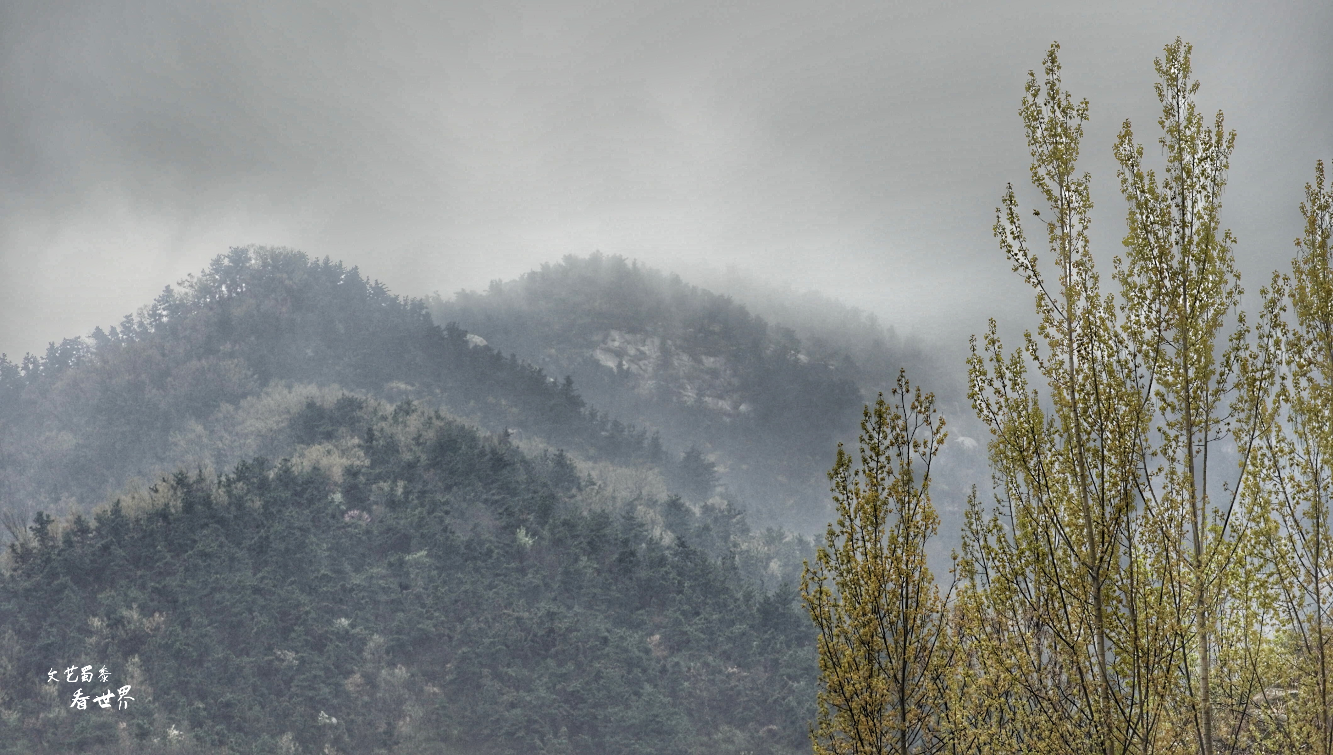 因《舌尖上的中国》而为人所知，刚刚的四月飞雪又让它美成了仙境