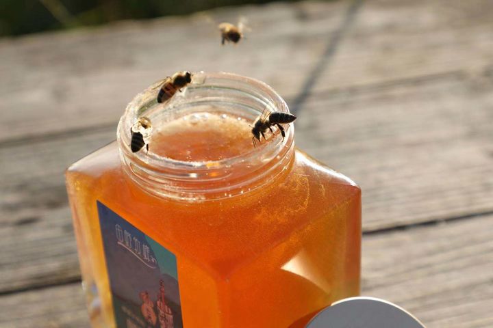 蜂巢蜜长虫是什么原因,野生蜂巢蜜有蜂蜡吗