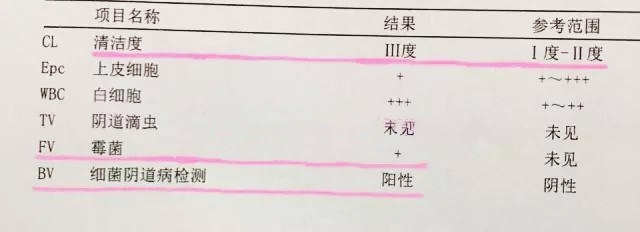 想治好阴道炎，妇检单子这5项值要看懂，对症下药才能根治
