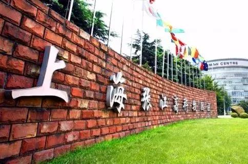 周浦镇和张江镇哪个好,周浦和唐镇哪个有潜力