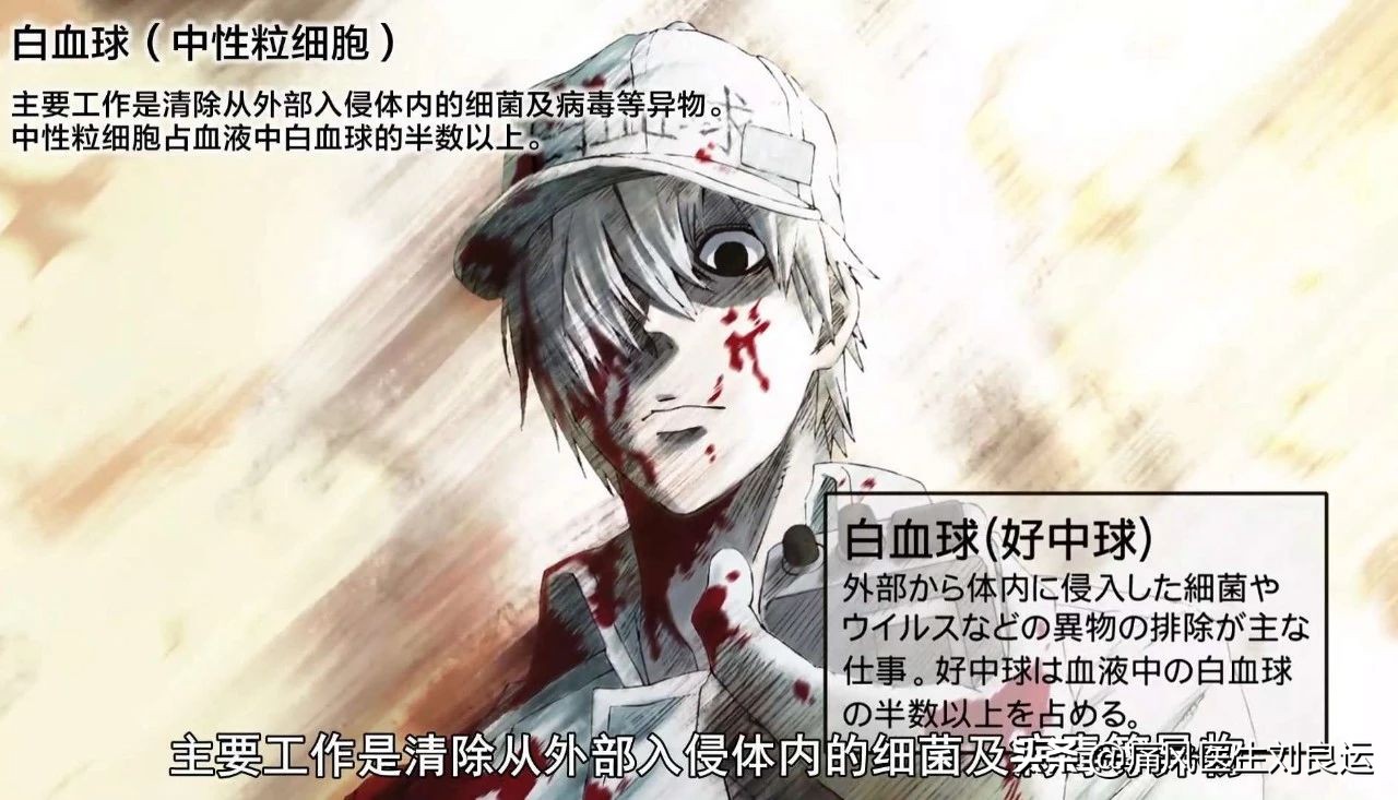 血常规crp的报告主要看什么意思,六个月宝宝体检血常规报告怎么看