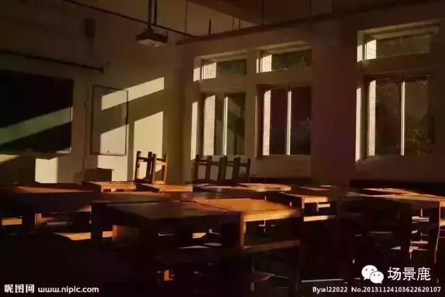 手的名词和动词,手的动词搭配