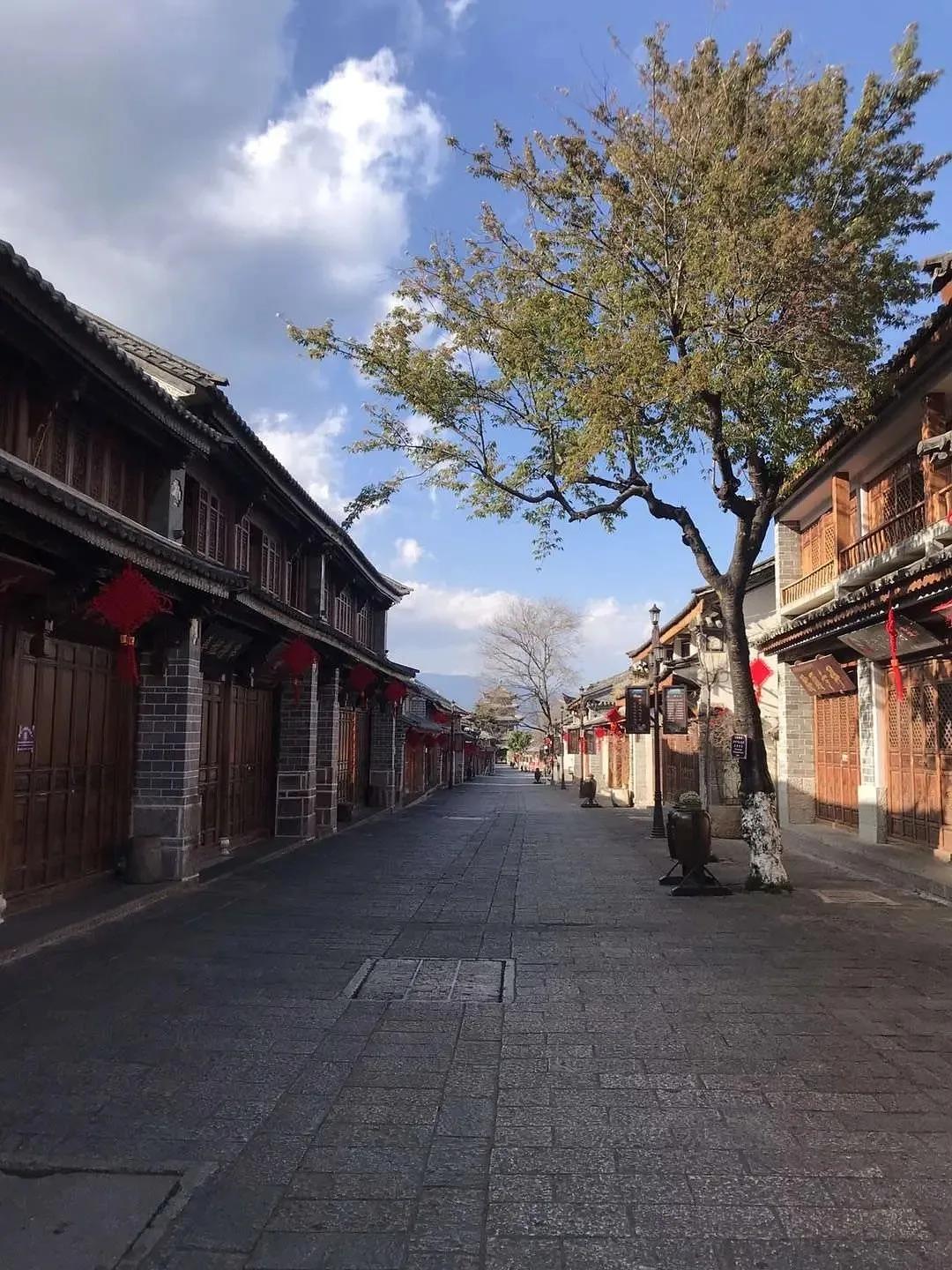 龙虾没人吃,龙虾不吃东西