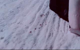 鹤唳华亭原著有反转么,鹤唳华亭反转插曲