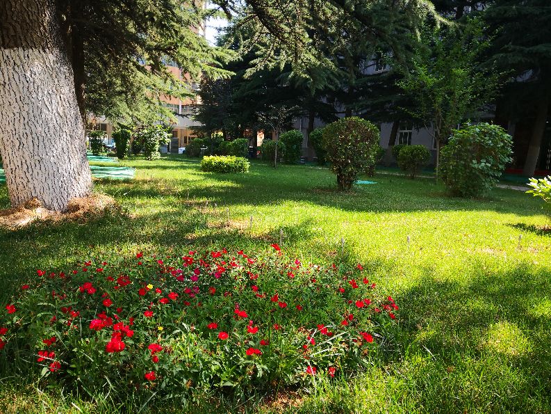 国家电网甘肃电力科学研究院地址,国网甘肃电力公司电科院近期新闻