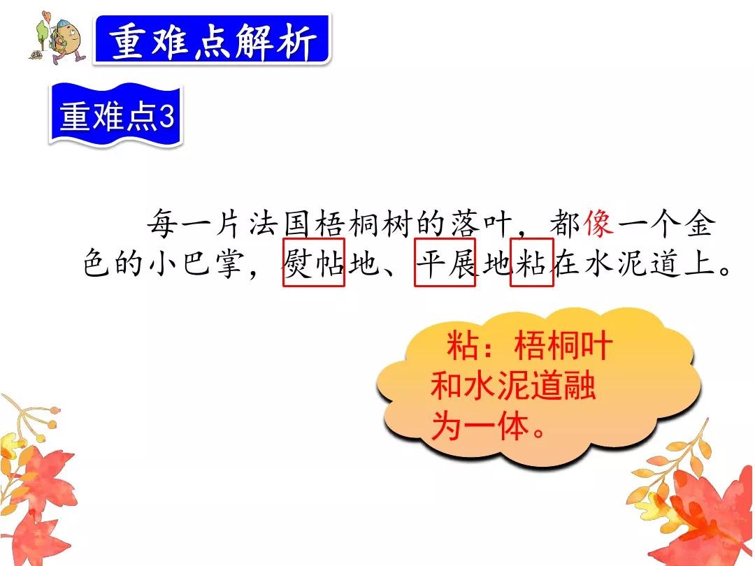 小学部编版三年级上册语文5课,三年级上册语文第5课水泥道朗读