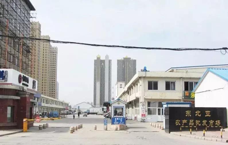 中国蔬菜新鲜批发,中国蔬菜批发市场