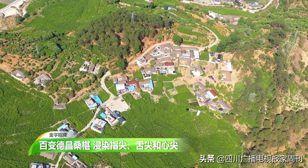 金字招牌|走，到德昌吃桑per！把嘴巴吃来亲妈都认不到的乌