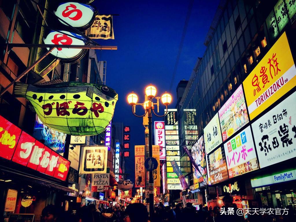 中国农业与日本农业相差,日本农业对比中国农业